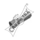 cautex-010173