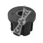 cautex-480826