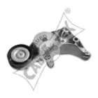 cautex-461338