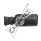 cautex-010312