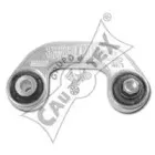 cautex-461166