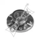 cautex-461026