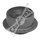 cautex-031368