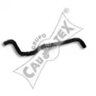 cautex-466119