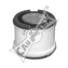 cautex-081107