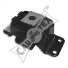 cautex-460187