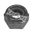 cautex-951012