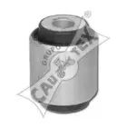 cautex-461182