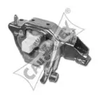 cautex-461304
