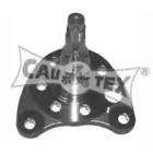 cautex-461008