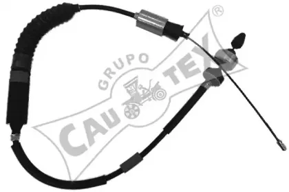 cautex-028451