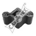 cautex-019496