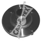 cautex-081004