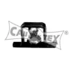 cautex-200529
