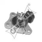 cautex-020518