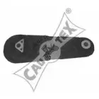 cautex-020450