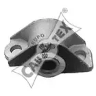 cautex-010911