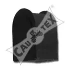 cautex-461209