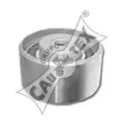 cautex-030969