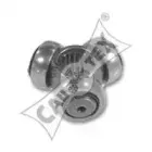 cautex-460700