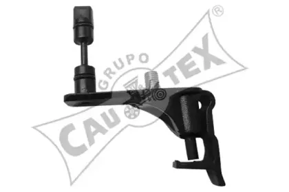 cautex-462412