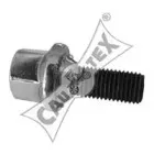 cautex-951025