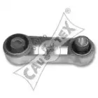 cautex-020510