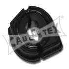 cautex-030899