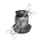 cautex-030932
