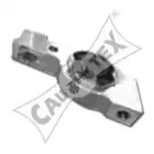 cautex-031122