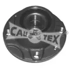 cautex-461010