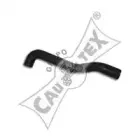 cautex-016393
