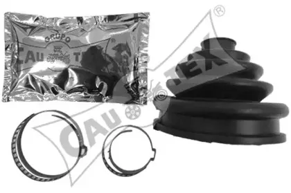 cautex-020108