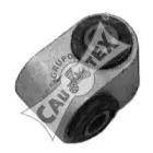 cautex-020289