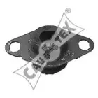 cautex-020381
