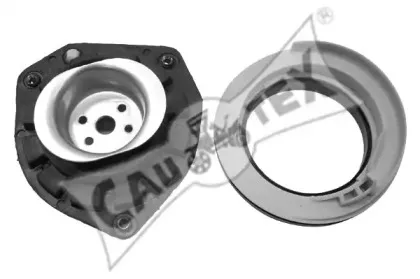 cautex-020524