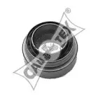 cautex-020388