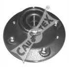 cautex-021042