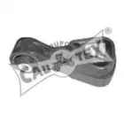 cautex-030306