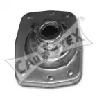 cautex-030354