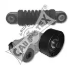 cautex-030952
