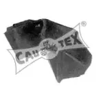 cautex-030900
