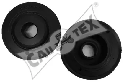 cautex-030912