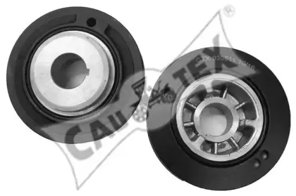 cautex-030911