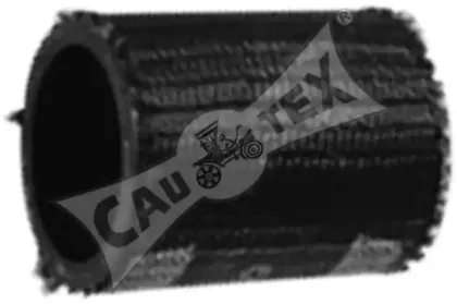 cautex-036706
