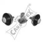 cautex-031114