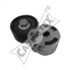 cautex-031389
