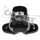 cautex-031409