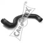 cautex-036008