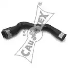 cautex-036019